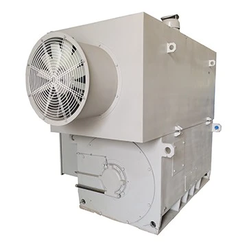 YJTKK 10kV-Motor